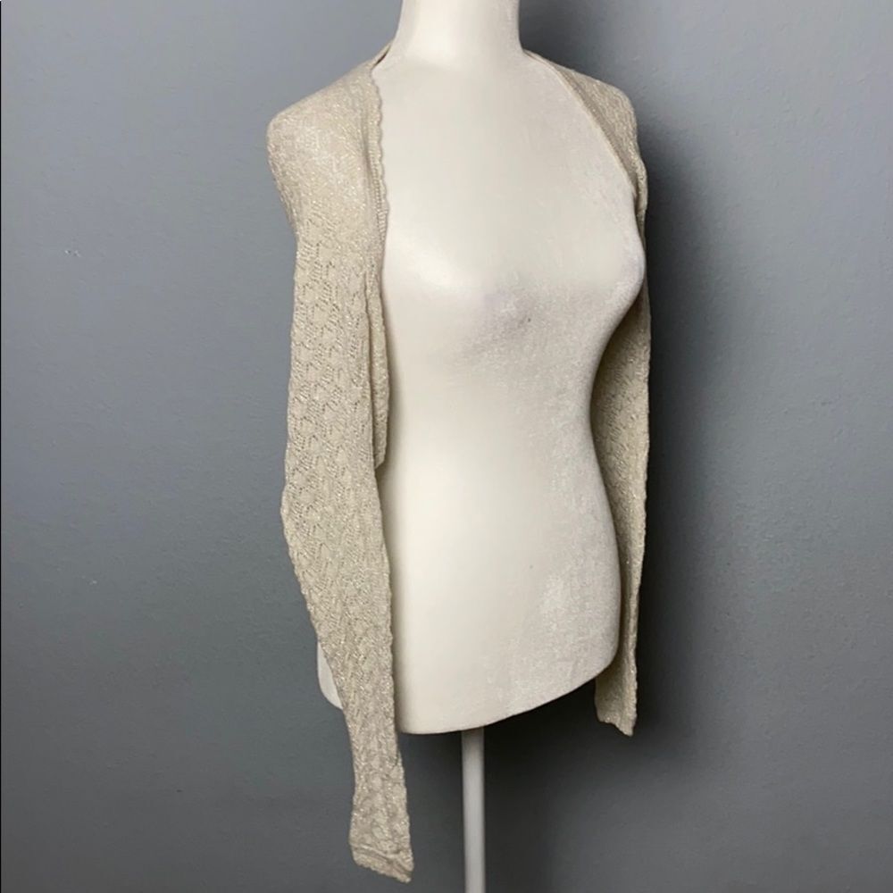 Express Y2K holiday Glitter Long Sleeve  Cardigan